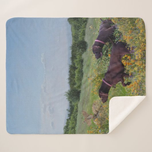 Duitse Shorthaired Pointers Sherpa Deken (Voorkant (horizontaal))