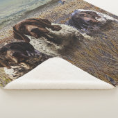 Duitse Shorthaired Pointers Sherpa Deken (3/4)