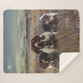 Duitse Shorthaired Pointers Sherpa Deken (Voorkant (horizontaal))