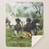 Duitse Shorthaired Pointers Sherpa Deken (Voorkant)