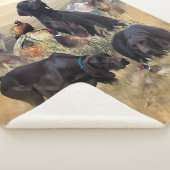 Duitse Shorthaired Pointers Sherpa Deken (3/4)