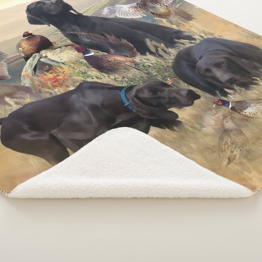 Duitse Shorthaired Pointers Sherpa Deken (3/4)