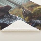 Duitse Shorthaired Pointers Sherpa Deken (3/4)