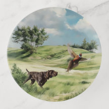 Duitse Shorthaired Pointers