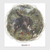 Duitse Shorthaired Pointers Sticker (Vel)
