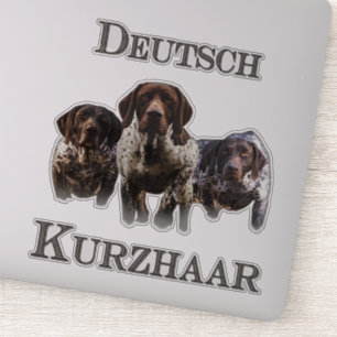 Duitse Shorthaired Pointers Sticker