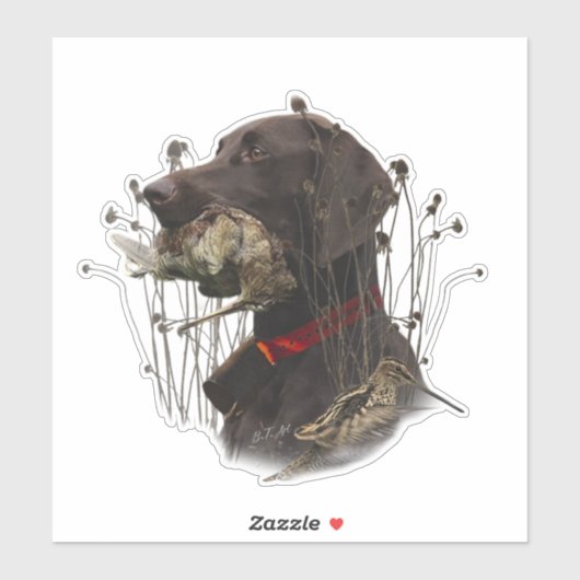 Duitse Shorthaired Pointers Sticker (Vel)