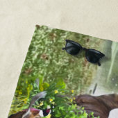 Duitse Shorthaired Pointers Strandlaken (In situ)