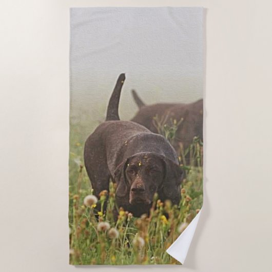 Duitse Shorthaired Pointers Strandlaken (Voorkant)