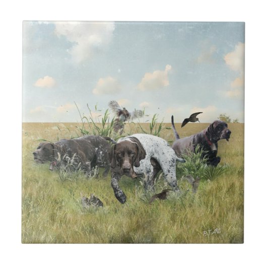 Duitse Shorthaired Pointers Tegeltje (Voorkant)