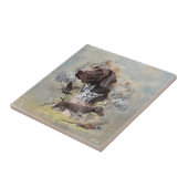 Duitse Shorthaired Pointers Tegeltje (Zijkant)