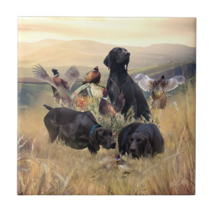 Duitse Shorthaired Pointers Tegeltje