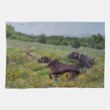 Duitse Shorthaired Pointers