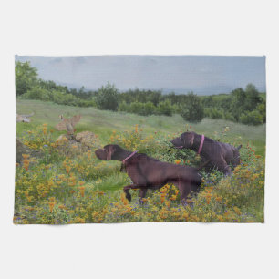 Duitse Shorthaired Pointers Theedoek