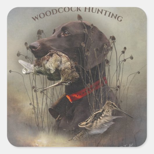 Duitse Shorthaired Pointers Vierkante Sticker (Voorkant)