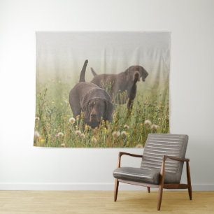 Duitse Shorthaired Pointers Wandkleed