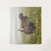 Duitse Shorthaired Pointers Wandkleed (Voorkant)