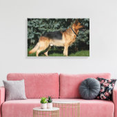 Duitse Show Shepherd Canvas Afdruk (Insitu (Woonkamer))
