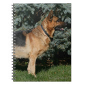 Duitse Show Shepherd Notitieboek (Voorkant)