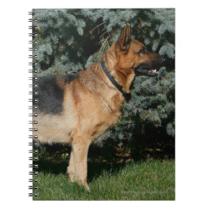 Duitse Show Shepherd Notitieboek