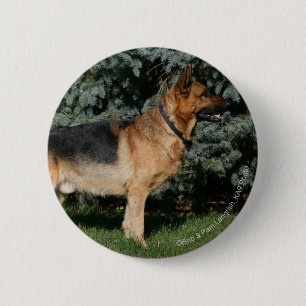 Duitse Show Shepherd Ronde Button 5,7 Cm