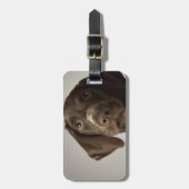 Duitse snorppuppy bagagelabel (Voorkant verticaal)