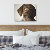 Duitse snorppuppy canvas afdruk (Insitu (Slaapkamer))
