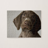 Duitse snorppuppy legpuzzel (Horizontaal)
