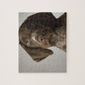 Duitse snorppuppy legpuzzel (Verticaal)