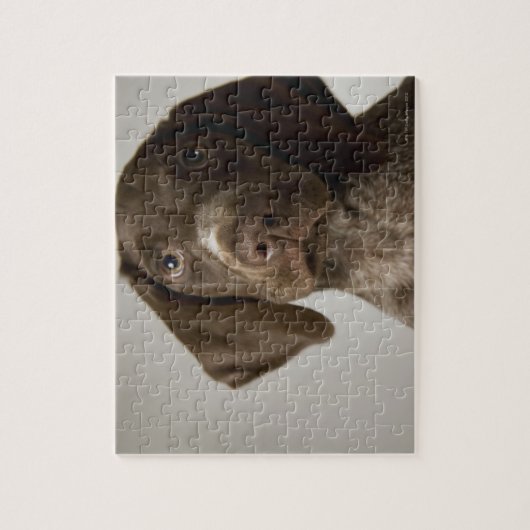 Duitse snorppuppy legpuzzel (Verticaal)