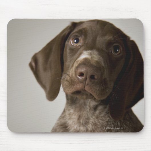 Duitse snorppuppy muismat (Voorkant)