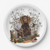 Duitse Spaniels (  Deutscher Wachtelhund ) Papieren Bordje (Voorkant)