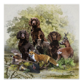 Duitse Spaniels ( Deutscher Wachtelhund ) Perfect Poster