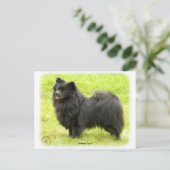 Duitse Spitz 9W014D-009 Briefkaart (Staand voorkant)