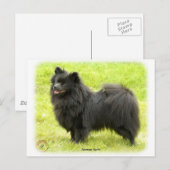 Duitse Spitz 9W014D-009 Briefkaart (Voorkant / Achterkant)