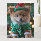 Duitse Spitz Elf Puppy Kerst Kaart (Voorkant)