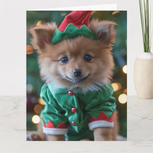 Duitse Spitz Elf Puppy Kerst Kaart (Voorkant)