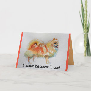 Duitse Spitz hond 'Ik lach omdat ik kan' Kaarten