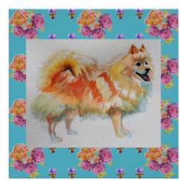 Duitse Spitz Pomeranian Dog Rozen Print Poster