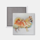 Duitse Spitz Pommeren Waterverf Dog Dogs Magneet (Voorkant / Achterkant)