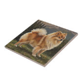 Duitse spitz tegeltje (Zijkant)