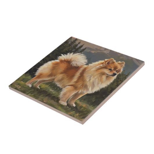 Duitse spitz tegeltje (Zijkant)