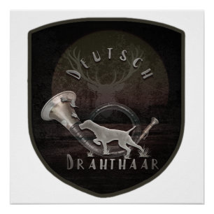 Duitse Staande Draadharige Pointer Poster