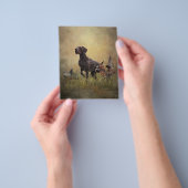 Duitse Staande  Flyer (Hand)