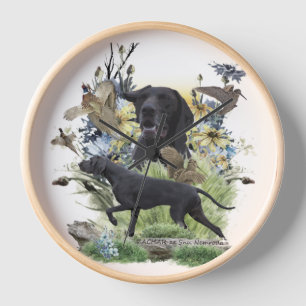 Duitse Staande Hond  