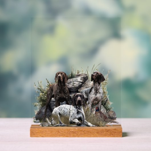 Duitse Staande Hond Acryl Bord (Neutraal)