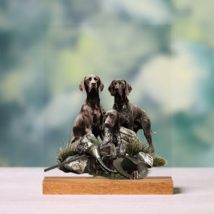 Duitse Staande Hond Acryl Bord