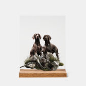 Duitse Staande Hond Acryl Bord (Voorkant)