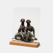 Duitse Staande Hond Acryl Bord (Hoek)