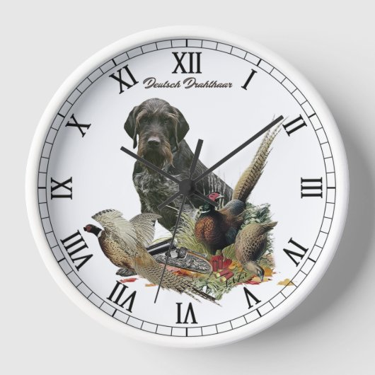  Duitse Staande Hond (draadhaar) (Voorkant)